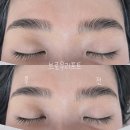 [성남 중원구 모란 속눈썹]브로우리프트펌 브로우펌 후기 추천 디브로우