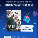 kt 패밀리박스 쓰는 장수들 디즈니+ 3개월 무료로봐! 이미지