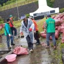 애월읍충혼묘지 이미지