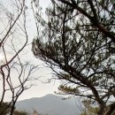 인천 중구 무의도(舞衣島, 국사봉, 호룡곡산), 팔미도(八尾島) 트레킹