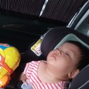 봉화모텔 | 봉화은어축제 후기 봉화모텔