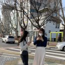 예람약국 네이버블로그