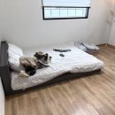 몽산142 이미지