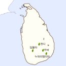 사단법인 국제티클럽 이미지