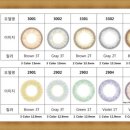 아이리스 안경 이미지