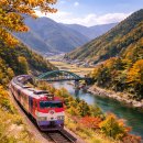 아우라지쉼터 | 정선 기차 여행 (아리랑열차, 시티투어, 아우라지)