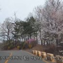 수정로+남한산성로 네이버블로그