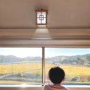 서해금빛열차 예약하고 온돌 마루 기차 타본 이야기(예약 방법)