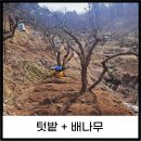 봉화산2농장 이미지