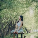 웰빙365다이어트 이미지