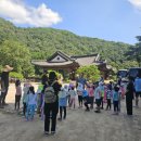 마곡어린이집 | 우리들 자연학교 7월 15일 마곡 9 어린이집 수업 후기