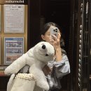 백곰세탁 이미지