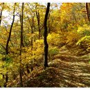 외씨버선길 이미지