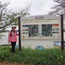 팔봉초등학교 이미지