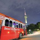 ㈜서울씨티투어 이미지