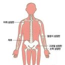 구공피티스튜디오 이미지