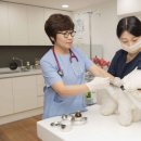 영진축산 이미지