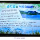 송지호 관망타워 이미지