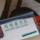 자연품에 이미지