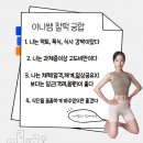 비벨라핏 이미지