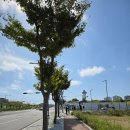 Round-율동 | 면접 전 최고의 선택: 롯데월드 어드벤처 부산에서의 4시간