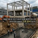 섬세한사랑니치과의원 | [아산 연세원치과]"사랑니 안 뽑으면 잇몸뼈 녹는다?" 어금니까지 흔들리기 전에 알아야 할 사실