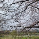 광주 천변길3 이미지