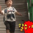 마토 이미지