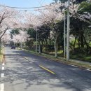 전기차충전소_한라수목원 이미지