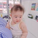 라벤더에쉬