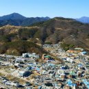 지정20 이미지