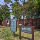 용허리근린공원 | 용허리근린공원 강남역 공원 산책