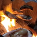 키즈포레스트 이미지