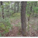 민재여울목산장 이미지