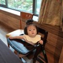 더케이에델바이스 이미지