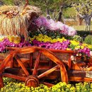 양산호수공원 이미지