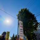 연일 에코코아루경로당 | "사계절 식당" 포항 연일 맛집, 고기국수 맛집, 어탕 칼국수 수제비 맛집