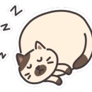 럭키마트 이미지