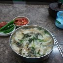 25시국수집 이미지