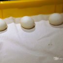 비스트로101(Bistro101) 이미지