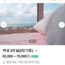 제주게스트하우스털보네 민박 | 제주 애월 게스트하우스 추천, 털보네 게하 내돈내산후기