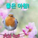 설레는아침