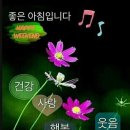 소금빛풍천장어