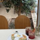 올리브 바닐라 이미지