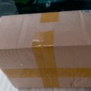 화이트크레인 이미지