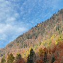 호텔 DM | [신혼여행] day 8_프랑크푸르트｜ICE 기차·중앙역 호텔·DM쇼핑·오버우어젤 맛집