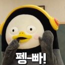 커피테르미니