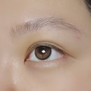 안경나라(금천현대)위드렌즈 이미지