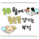 율 모터스 | 블로그를 재깍재깍 쓰면 안 밀릴 수 있어