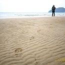 땅끝마을 이미지